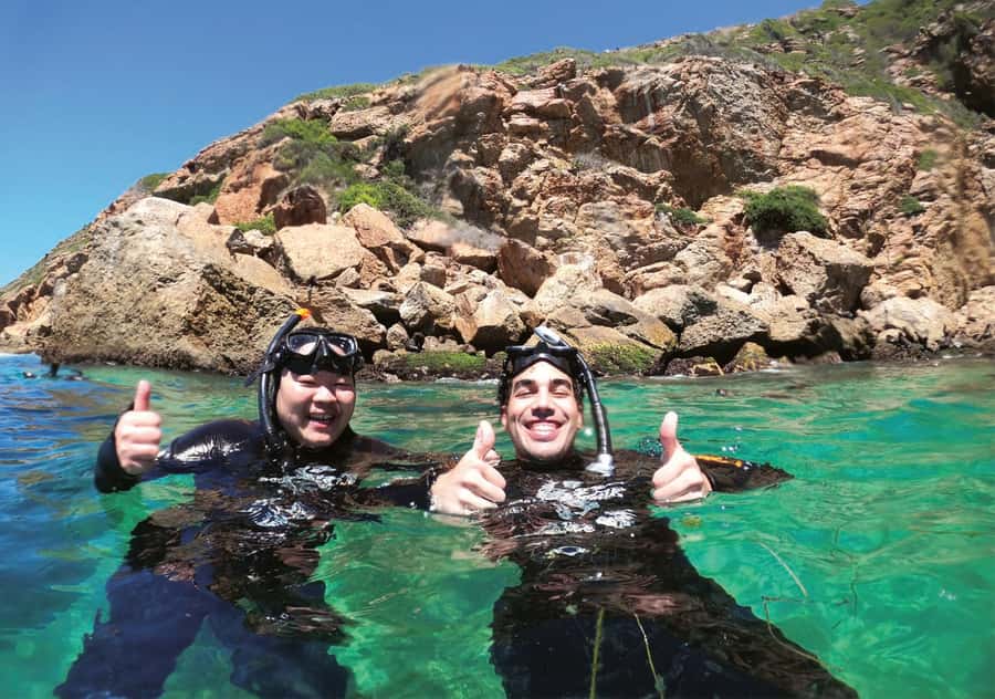 Plettenberg Bay: Swim with the Seals - Safety, rabies, and responsible behavior