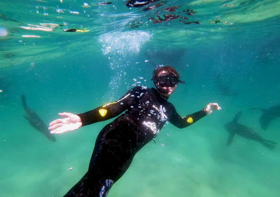 Plettenberg Bay: Swim with the Seals - Photos, cameras, and the practical payoff