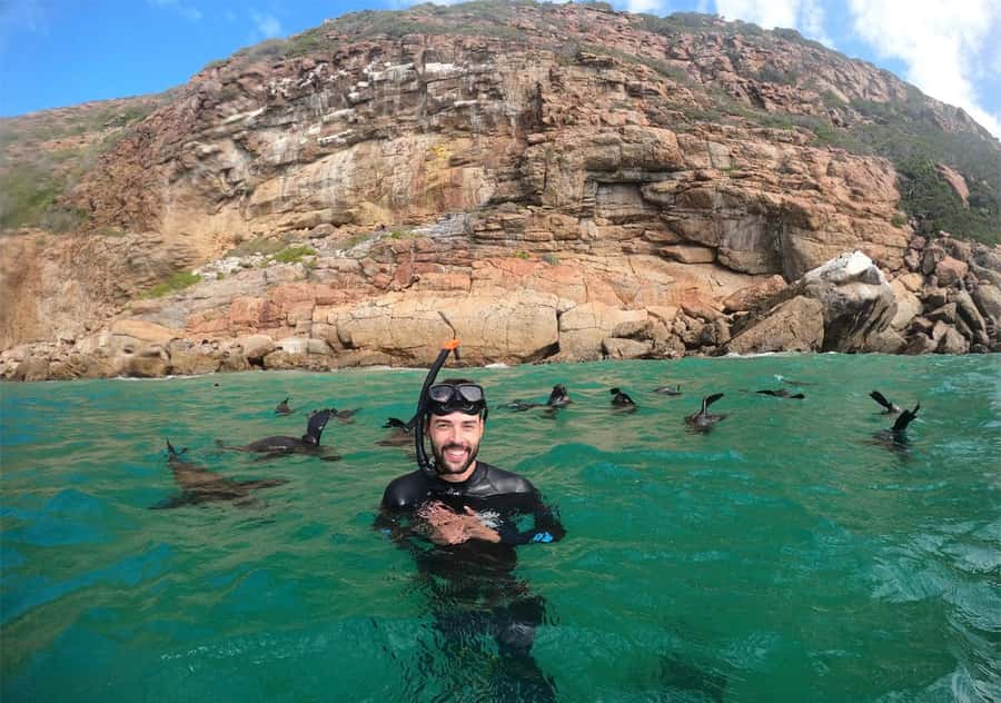 Plettenberg Bay: Swim with the Seals - Is $61 good value?