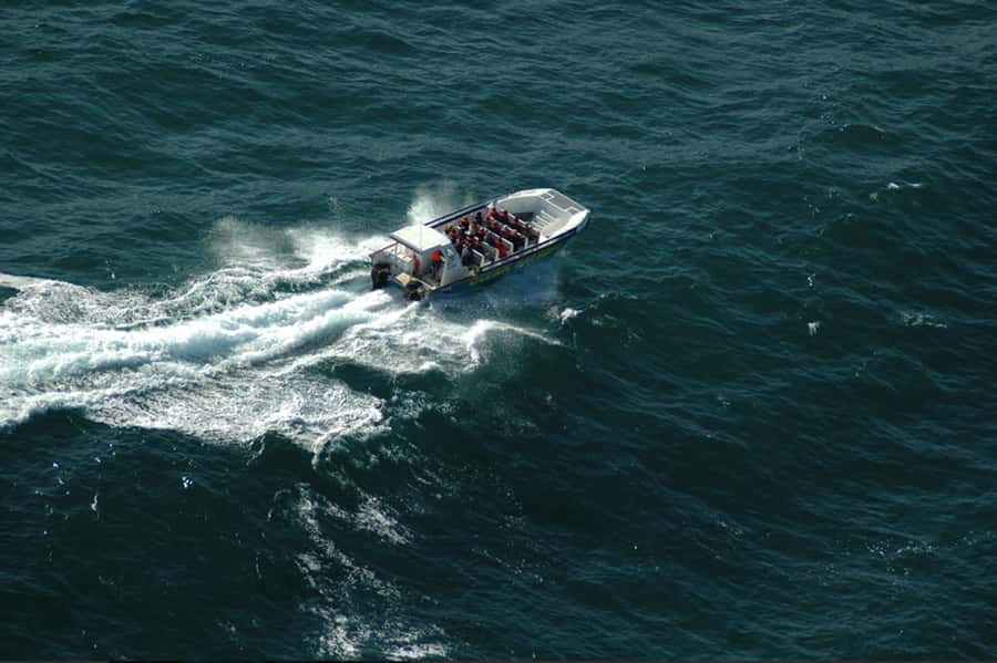 Plettenberg Bay: Whale Watching Boat Cruise - Why this Plettenberg Bay cruise feels different