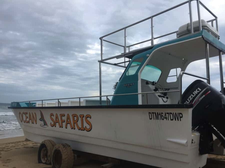 Plettenberg Bay: Whale Watching Boat Cruise - How the two hours are best used