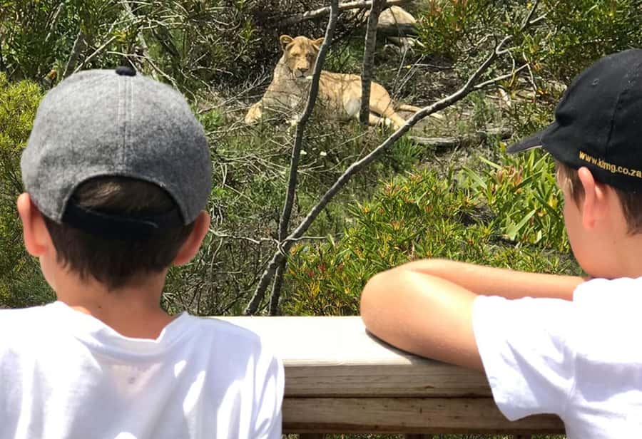 Plettenberg Bay: Wild Cat and Wildlife Guided Tour - Who will get the most from this visit?