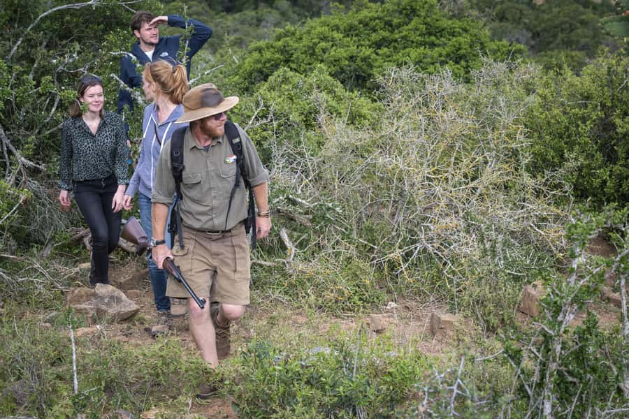 Port Elizabeth: 2-Day Addo Elephant Park Safari - Should you book the Addo two-day safari?