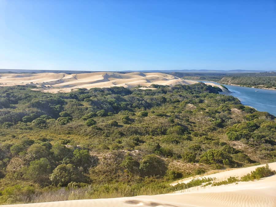 Port Elizabeth: 2-Day Addo Elephant Park Safari - Why Addo is worth two days