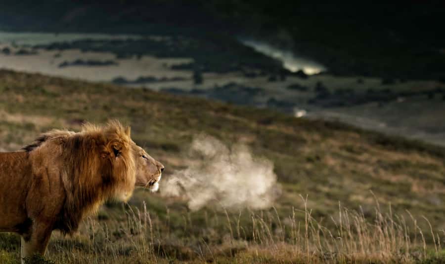 Port Elizabeth: 2-Day Addo Elephant Park Safari - Sundays River and the Alexandria Dune Field