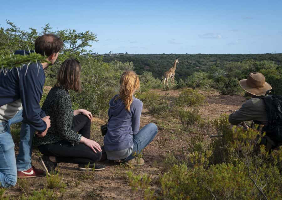 Port Elizabeth: 2-Day Addo Elephant Park Safari - Guides are a major part of the value