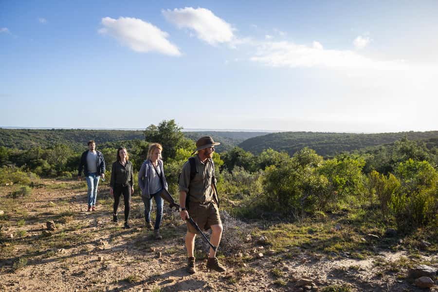 Port Elizabeth: 2-Day Addo Elephant Park Safari - Who will enjoy this safari most?