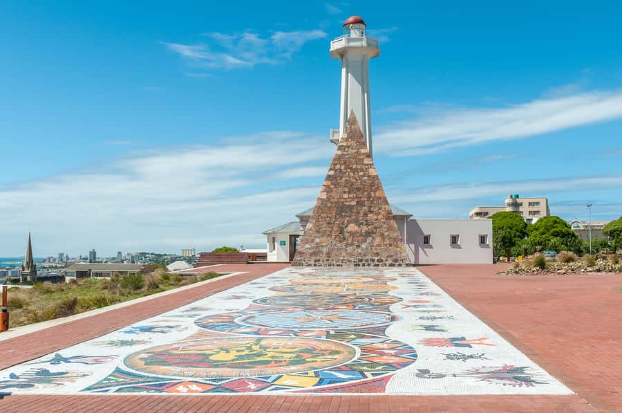 Port Elizabeth: 4x4 Wildlife Safari & City Sightseeing Tour - What $199 buys you