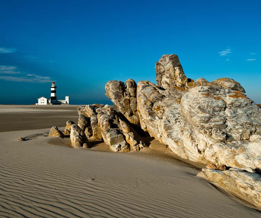Port Elizabeth: 4x4 Wildlife Safari & City Sightseeing Tour - Starting with crafts and the Donkin Reserve