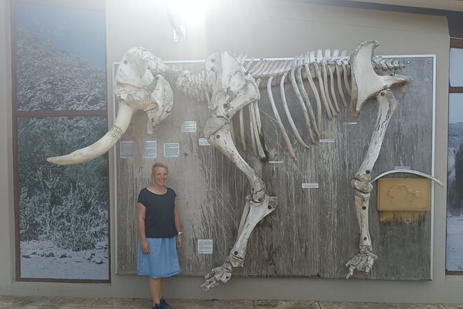 Port Elizabeth Addo Elephant National Park All Inclusive Safari - Returning through the northern section