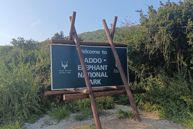 Port Elizabeth Addo Elephant National Park All Inclusive Safari - Who will enjoy this safari most?