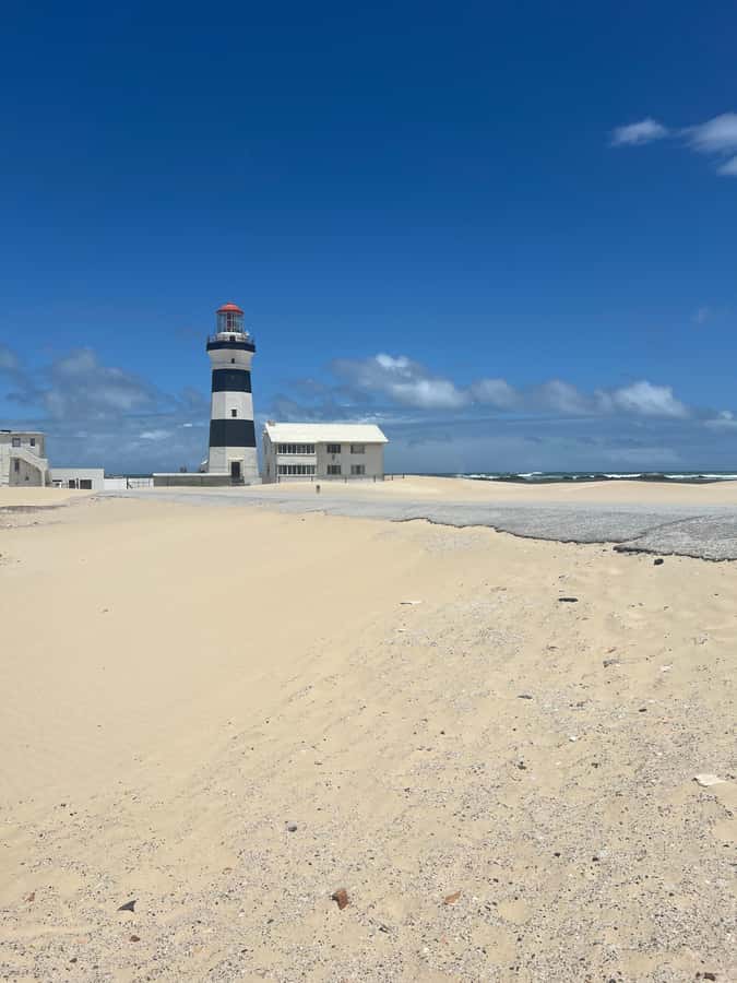 Port Elizabeth: City and Coastal Tour - Why this four-hour route works