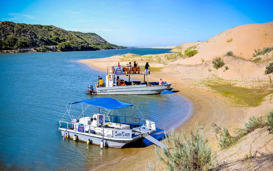 Port Elizabeth: River Cruise on the Sundays River - Starting at A Taste of Africa in Colchester