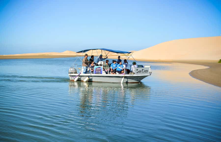 Port Elizabeth: River Cruise on the Sundays River - Watching birds feed along the river