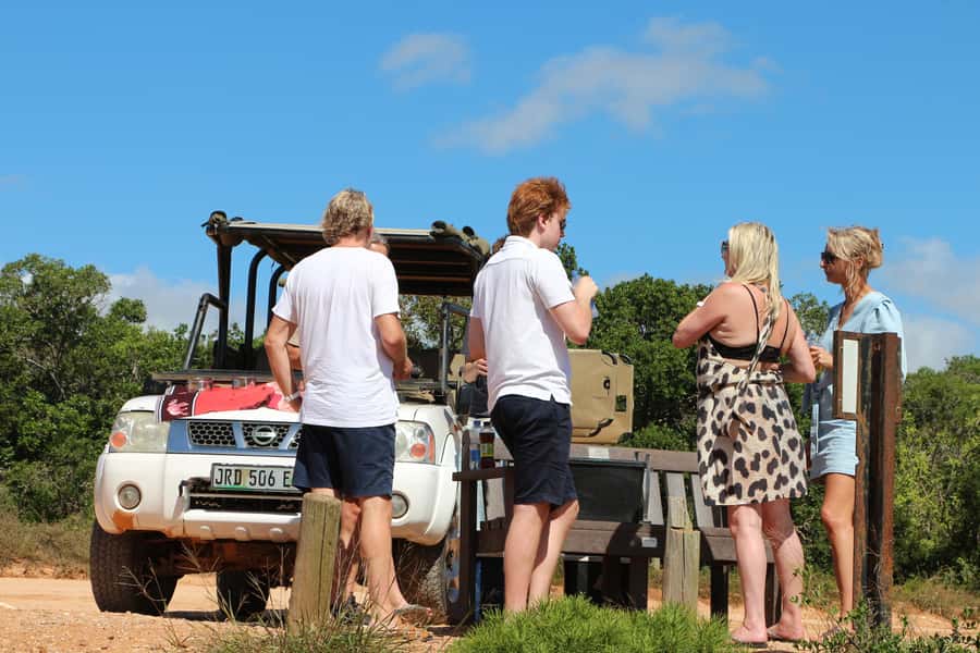 Port Elizabeth: Schotia Private Game Reserve Safari - What the first game drive is like