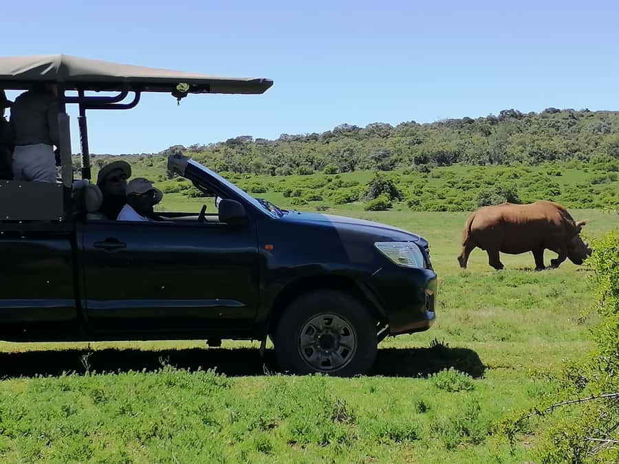 Port Elizabeth: Schotia Private Game Reserve Safari - The break adds welcome comfort