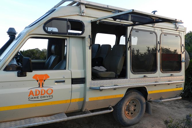 Port Elizabeth Shore Excursion: Addo Elephant Full Day Safari &"Braai"Lunch(BBQ) - The braai lunch between game drives