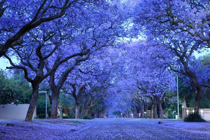 Pretoria Capital City Tour from Pretoria, every TUESDAY - Kruger House and the old ZAR story