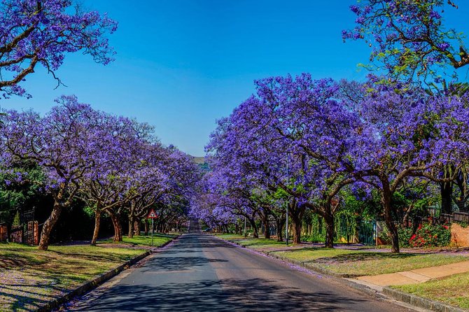 Pretoria City and Diamond Mine Tour - Cullinan Diamond Mine: the day’s main attraction