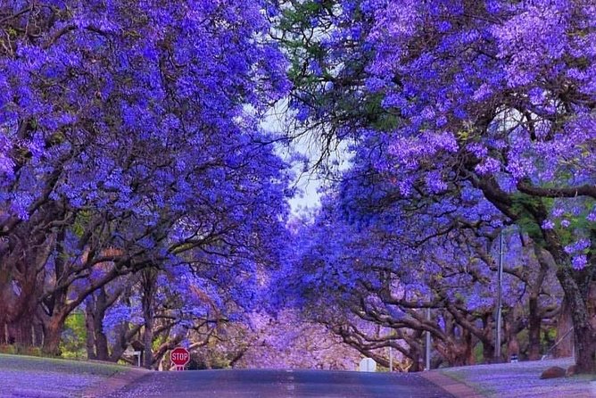 Pretoria City Tour - The Voortrekker Monument and the Great Trek