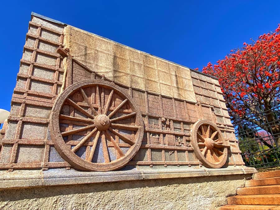 Pretoria: Pretoria City and Lion Park Tour - What the guide adds to the experience