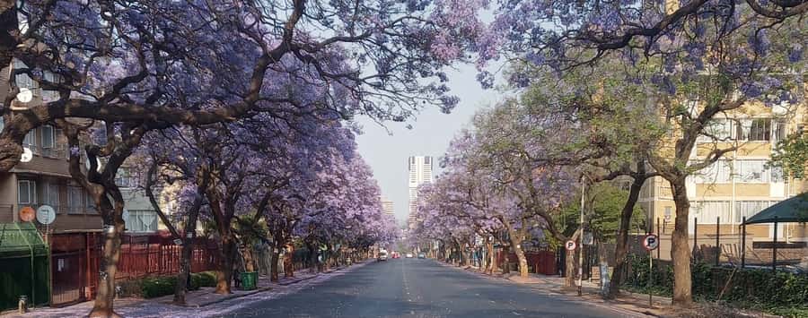Pretoria: Pretoria City Tour and Cullinan Diamond Mine Tour - 10:45 a.m. at Church Square