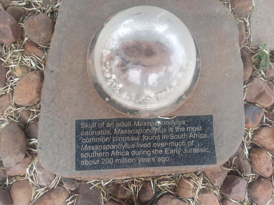 Pretoria/Sandton: Cradle of Humankind & Sterkfontein Caves - A guide can make or break this day
