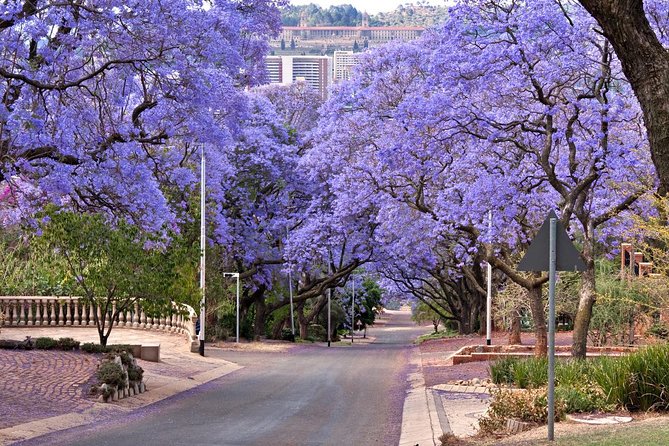 Pretoria Sightseeing Day Trip from Johannesburg - Why Pretoria makes a worthwhile side trip from Johannesburg