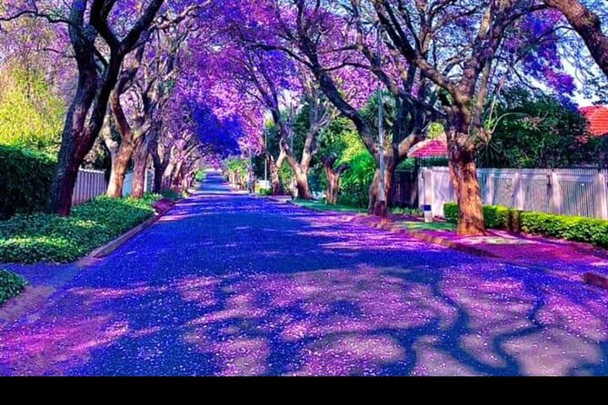 Pretoria tour, Half Day experience - The guides can shape the whole experience