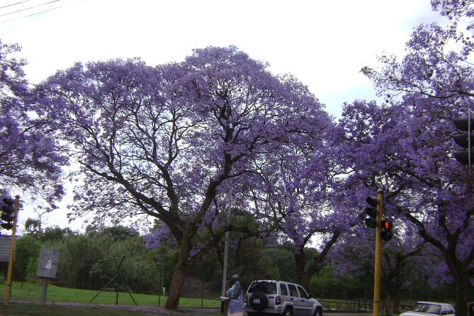 Pretoria tour, Half Day experience - Is $68.97 good value?