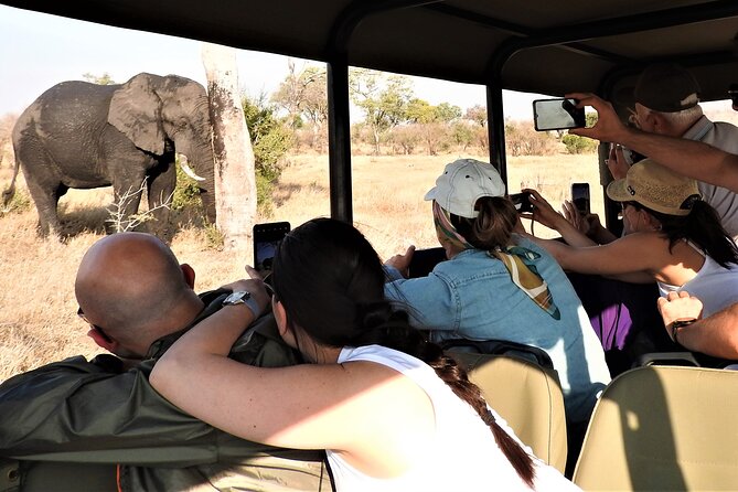 Private 4x4 Safari Tour in Kruger National Park - Key points at a glance