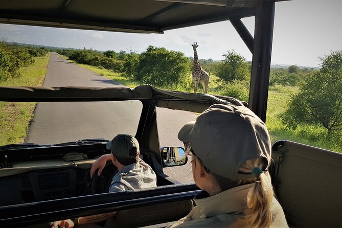 Private 4x4 Safari Tour in Kruger National Park - The value of having Wiann behind the wheel