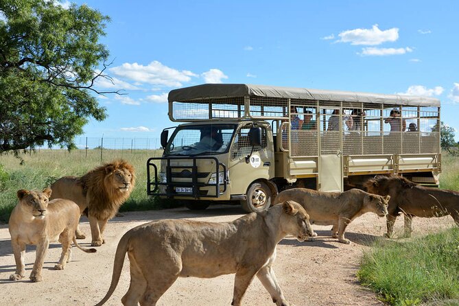 Private 5-Hour Lion Park Tour from Johannesburg or Pretoria - Leaving Johannesburg or Pretoria in a Private Minivan