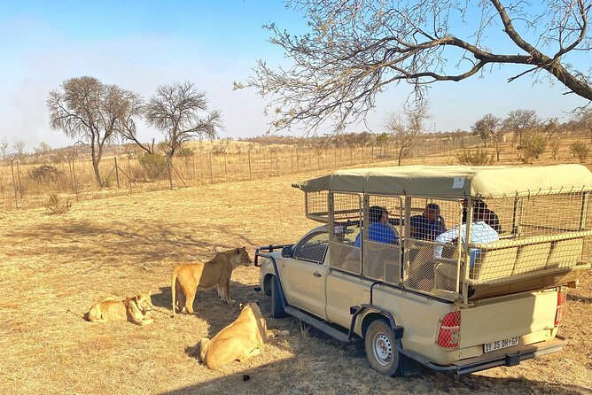 Private 5-Hour Lion Park Tour from Johannesburg or Pretoria - Cub World and the Smaller Animal Encounters