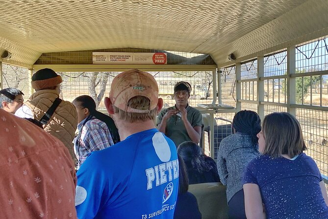 Private 5-Hour Lion Park Tour from Johannesburg or Pretoria - What the Private Format Adds
