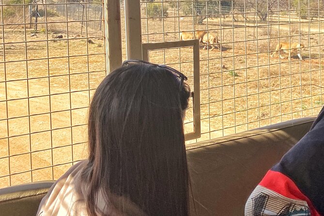 Private 5-Hour Lion Park Tour from Johannesburg or Pretoria - Is $124.38 Per Person Good Value?
