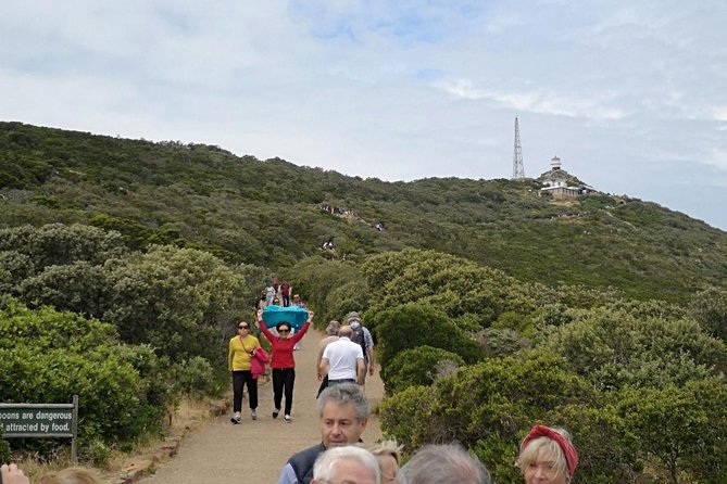Private Cape of Good Hope Cape Point Penguin Kirstenbosch Tour. - Chapman’s Peak Drive and Noordhoek views