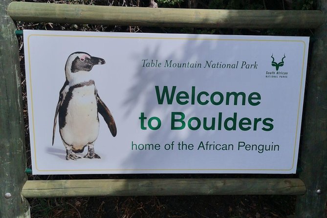Private Cape of Good Hope Cape Point Penguin Kirstenbosch Tour. - The ostrich farm stop