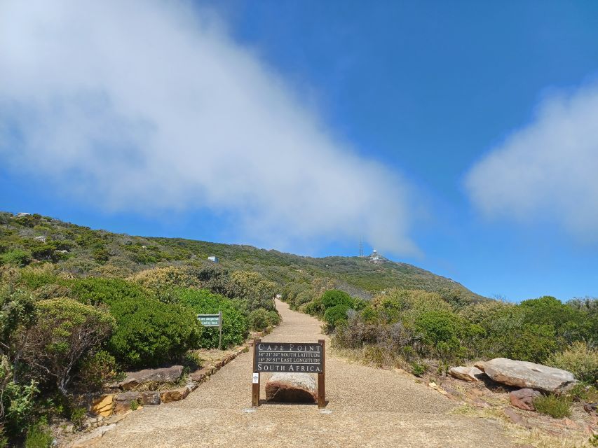 Private Cape of Good Hope Guided Tour - Boulders Beach delivers the penguin moment