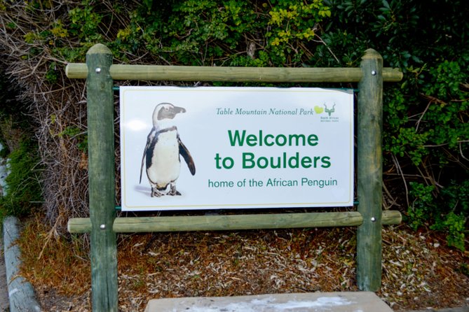 Private Cape of Good Hope Sightseeing and African Penguin Tour - A long day with Cape Town’s greatest hits