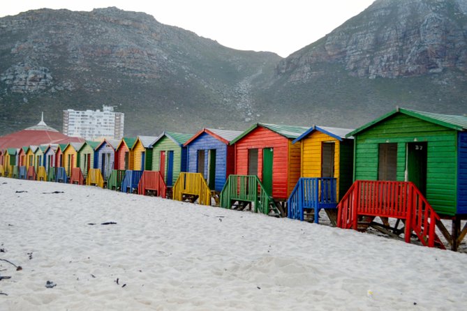 Private Cape of Good Hope Sightseeing and African Penguin Tour - Chapmans Peak supplies the big coastal views