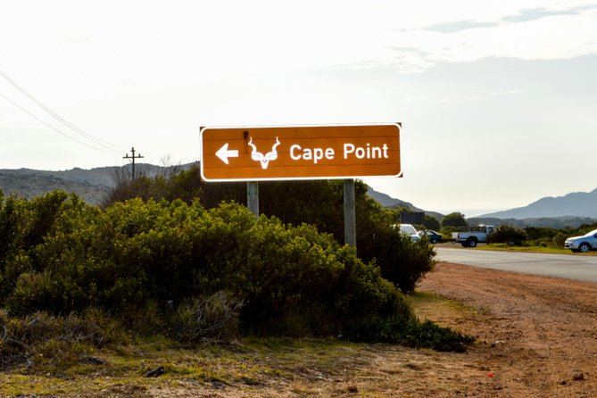 Private Cape of Good Hope Sightseeing and African Penguin Tour - Wine tasting adds a slower hour in Noordhoek