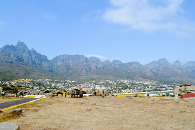 Private Cape of Good Hope Sightseeing and African Penguin Tour - Cape Point Nature Reserve is the day’s main event