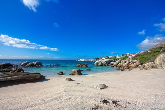 Private Cape Peninsula + Kirstenbosch Garden Full Day Guided Tour - Cape Point Nature Reserve is the day’s biggest stop
