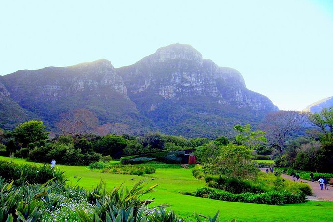 Private Cape Peninsula + Kirstenbosch Garden Full Day Guided Tour - Lunch at Scarborough and the Misty Cliffs route