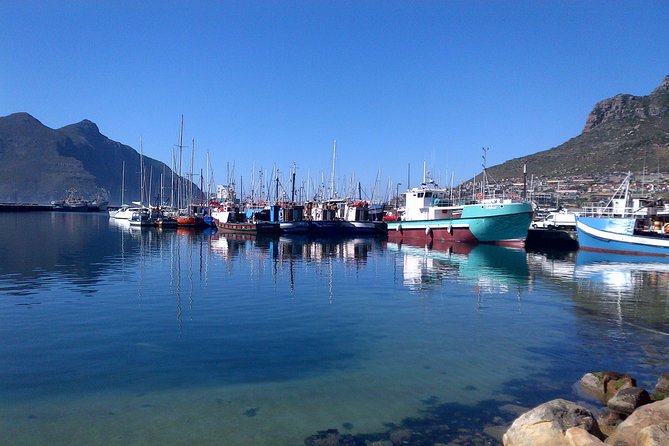 Private Cape Peninsula + Kirstenbosch Garden Full Day Guided Tour - Kirstenbosch is a calm final chapter