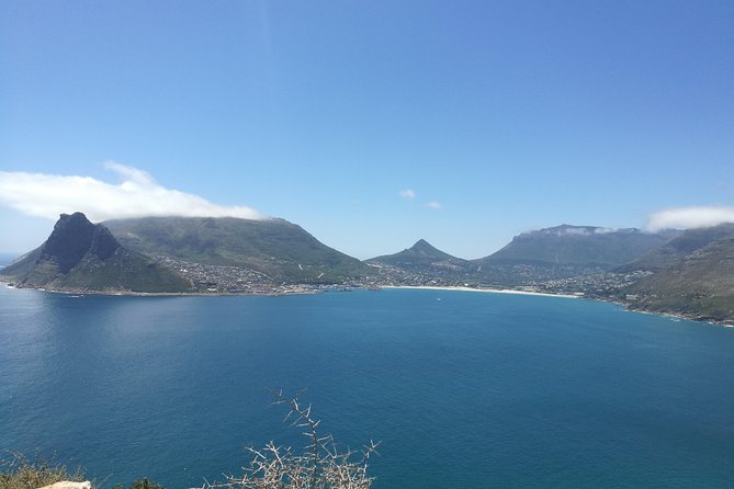 Private Cape Peninsula Tour - Boulders Beach brings the penguin moment