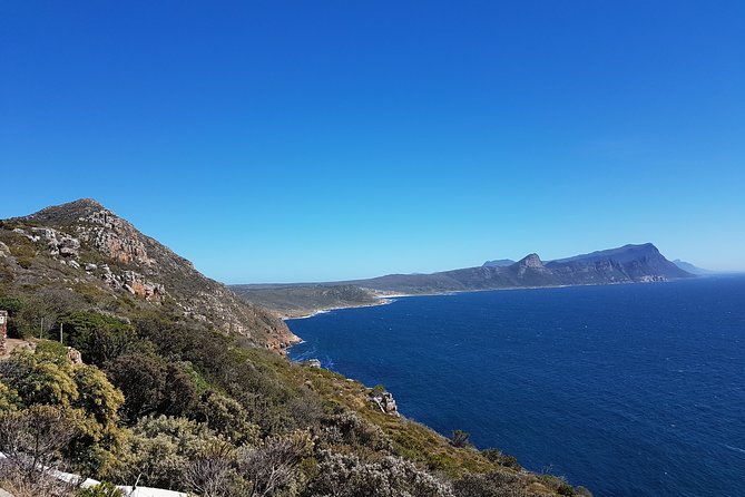 Private Cape Peninsula Tour - Cape Point, Cape of Good Hope sightseeing - Why a private Cape Peninsula day makes sense