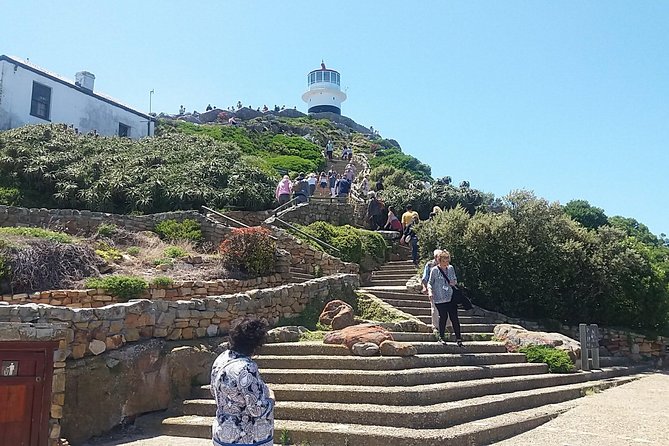 Private Cape Point Penguins Tour-Exploring the Cape Peninsula F/D - Chapman’s Peak is the road you will remember