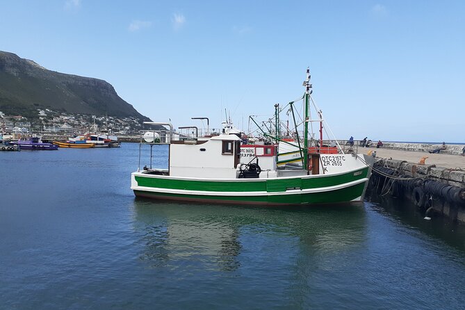 Private Cape Point / Peninsula Tour - Why This Tour Works for a First Day